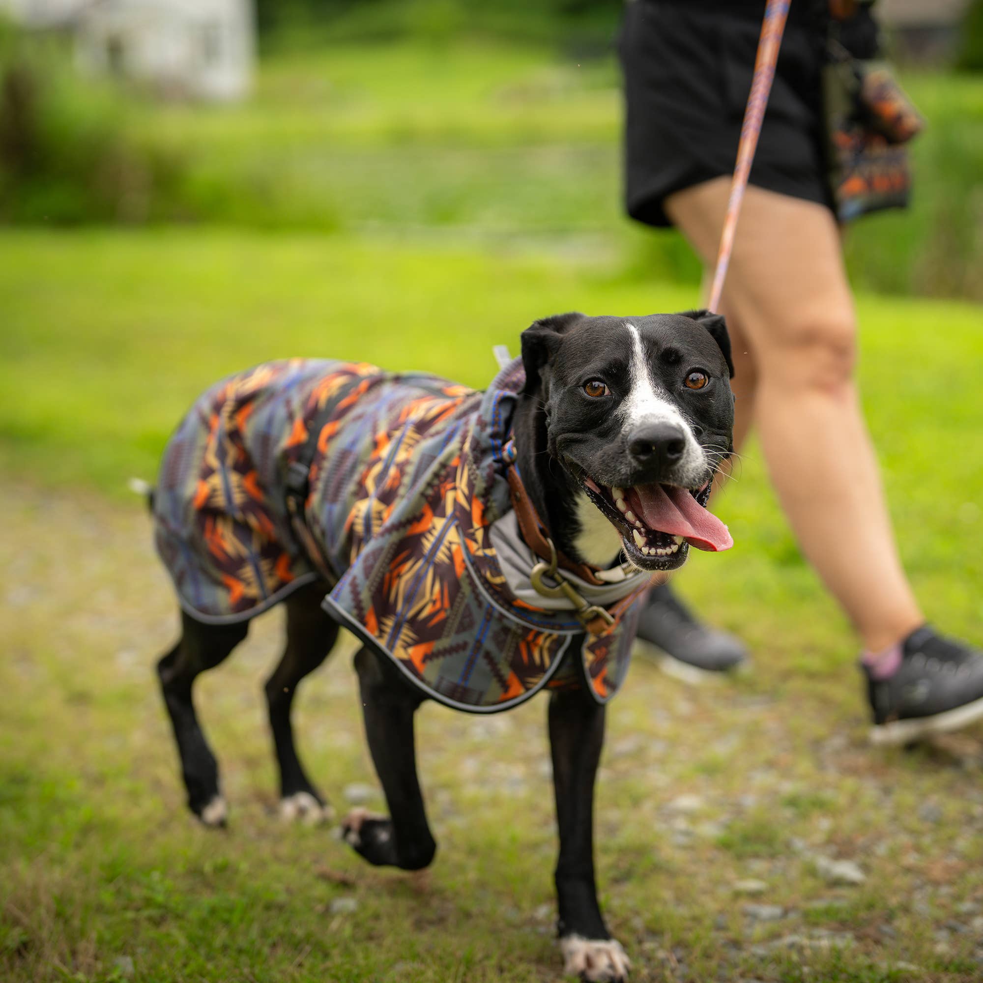 Mystic Lake Pendleton Waterproof Adventure Dog Coat