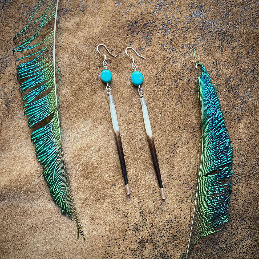 Porcupine Quill &amp; Turquoise Earrings, with Silver Earwires: Turquoise &amp; Silver
