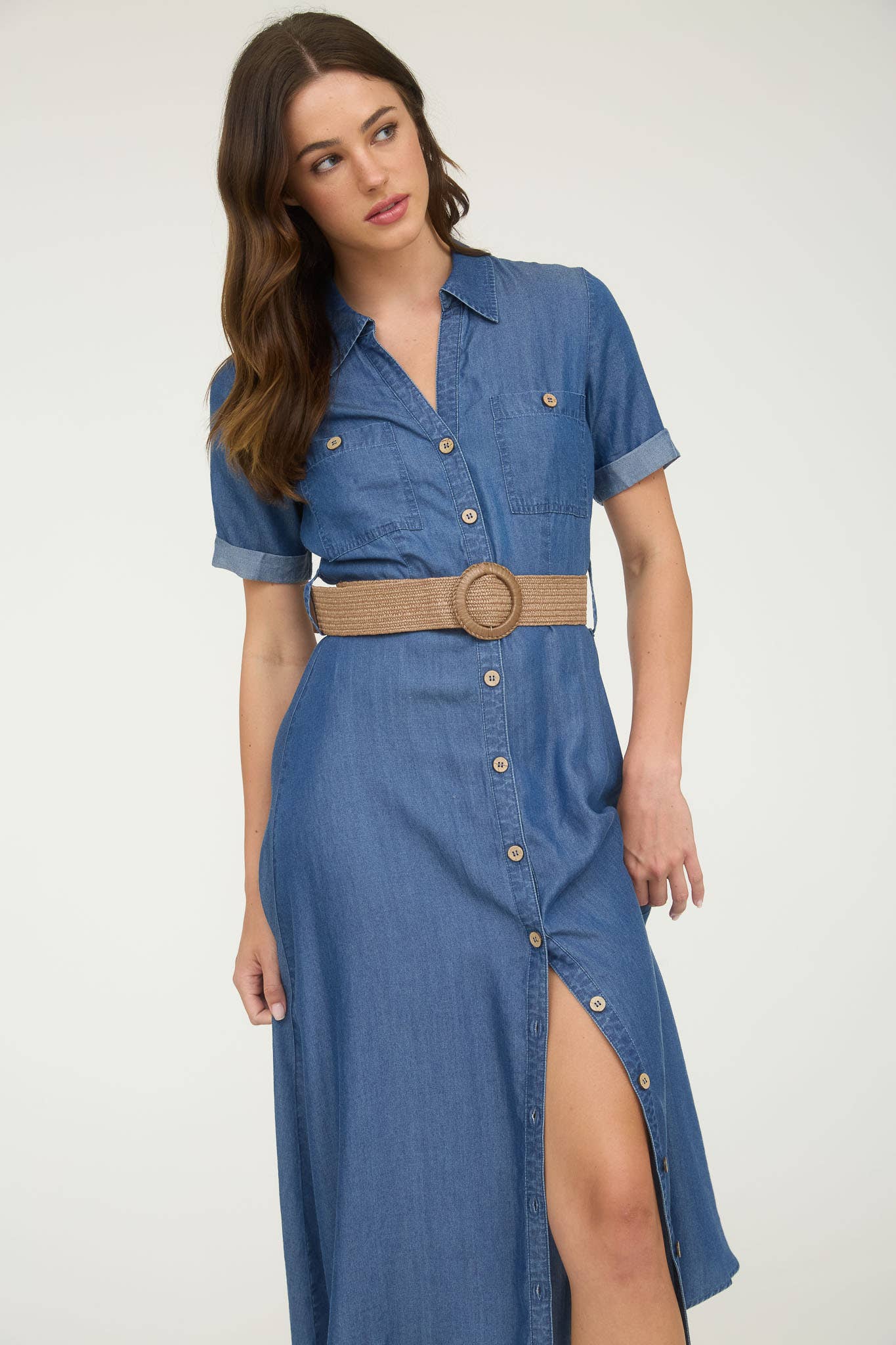 Ridgeway Denim Dress