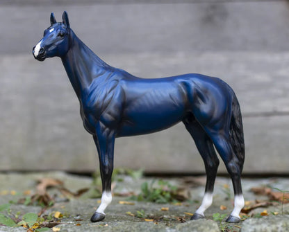 Big Lex | Decorator Thoroughbred