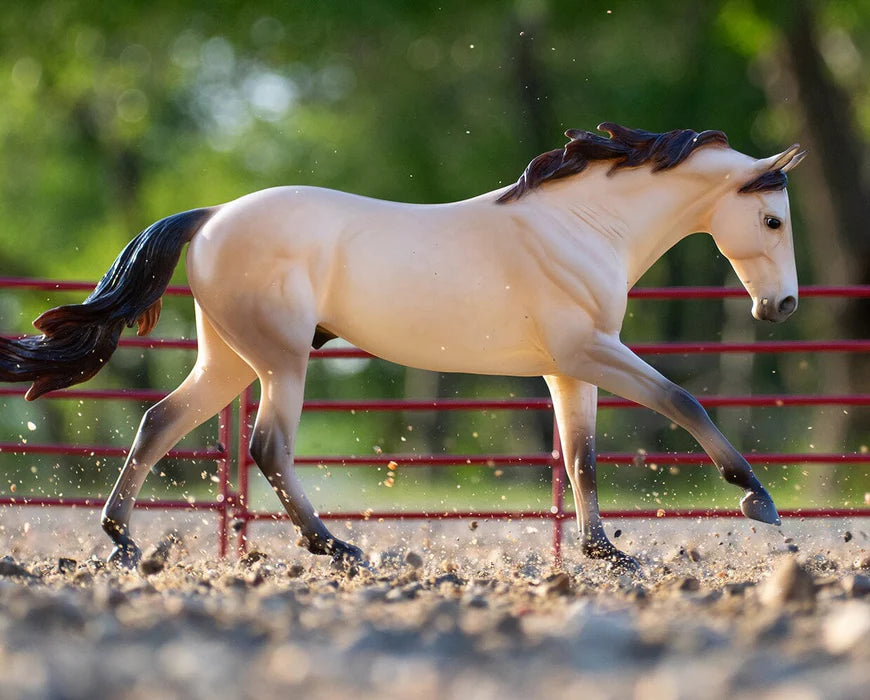 Cash, Quarter Horse