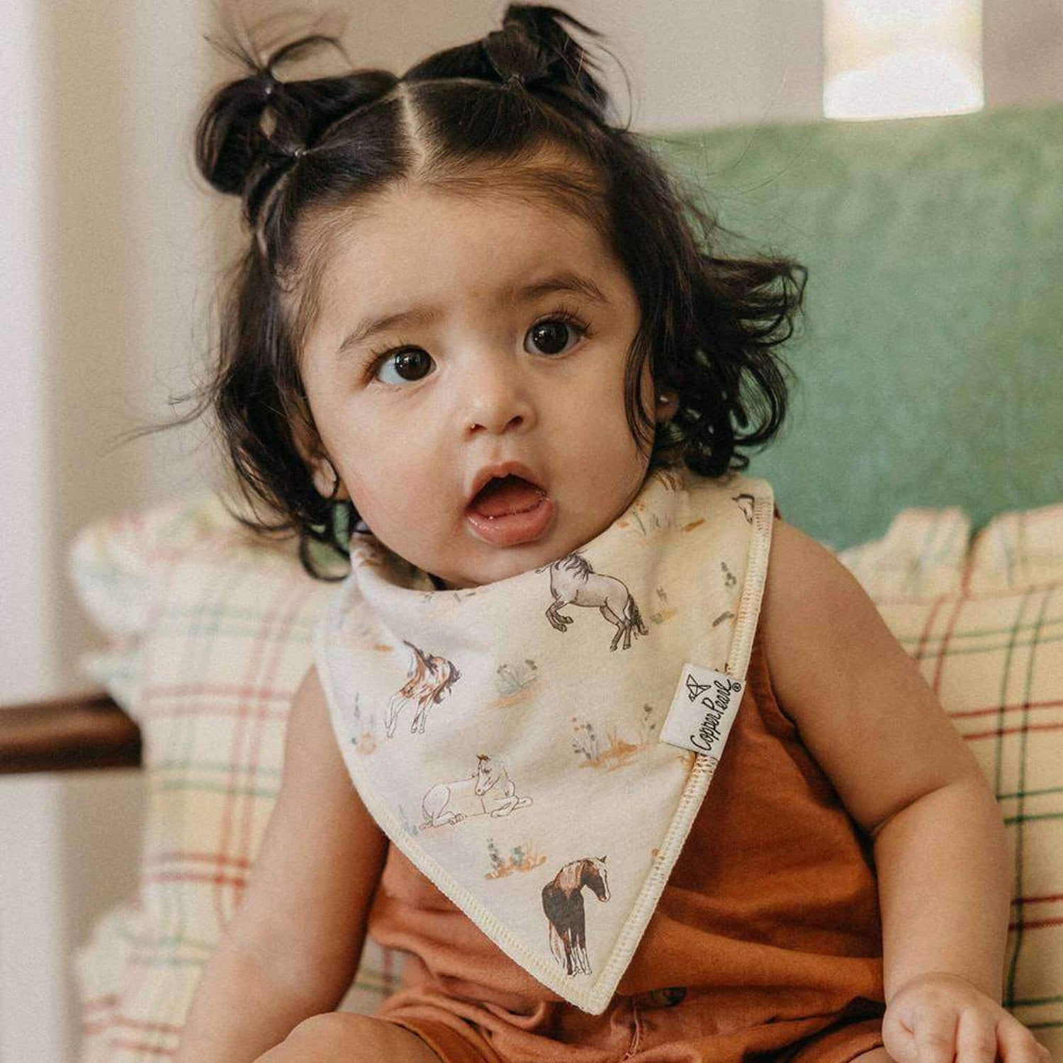 Cheyenne Baby Bandana Bibs