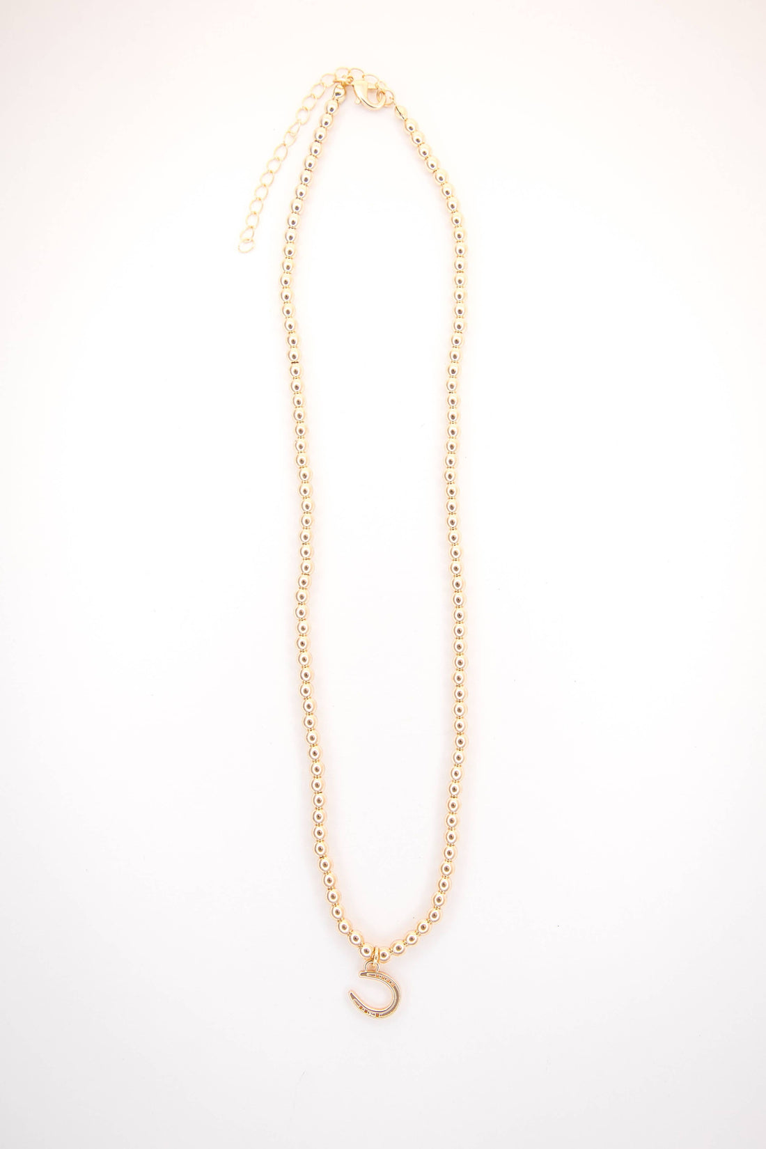 Golden Hour Horseshoe Necklace