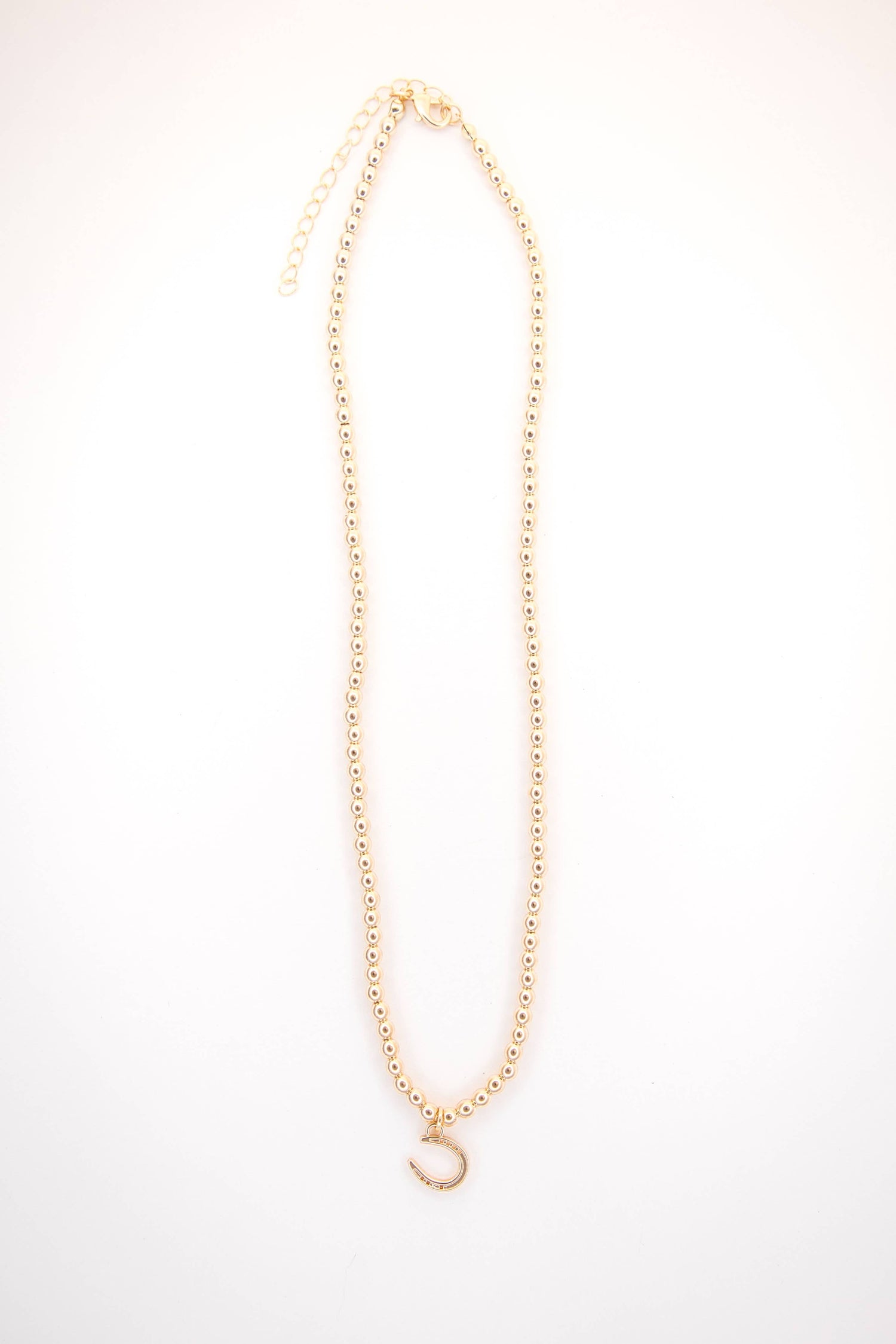 Golden Hour Horseshoe Necklace