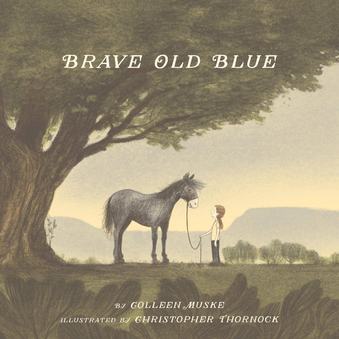 Brave Old Blue Picture Book