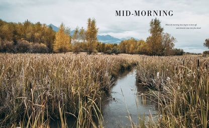 Marshy area with water and trees in the background, labeled &