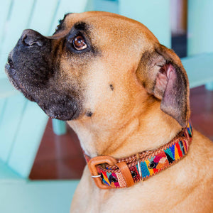 Guatemalan Dog Collar