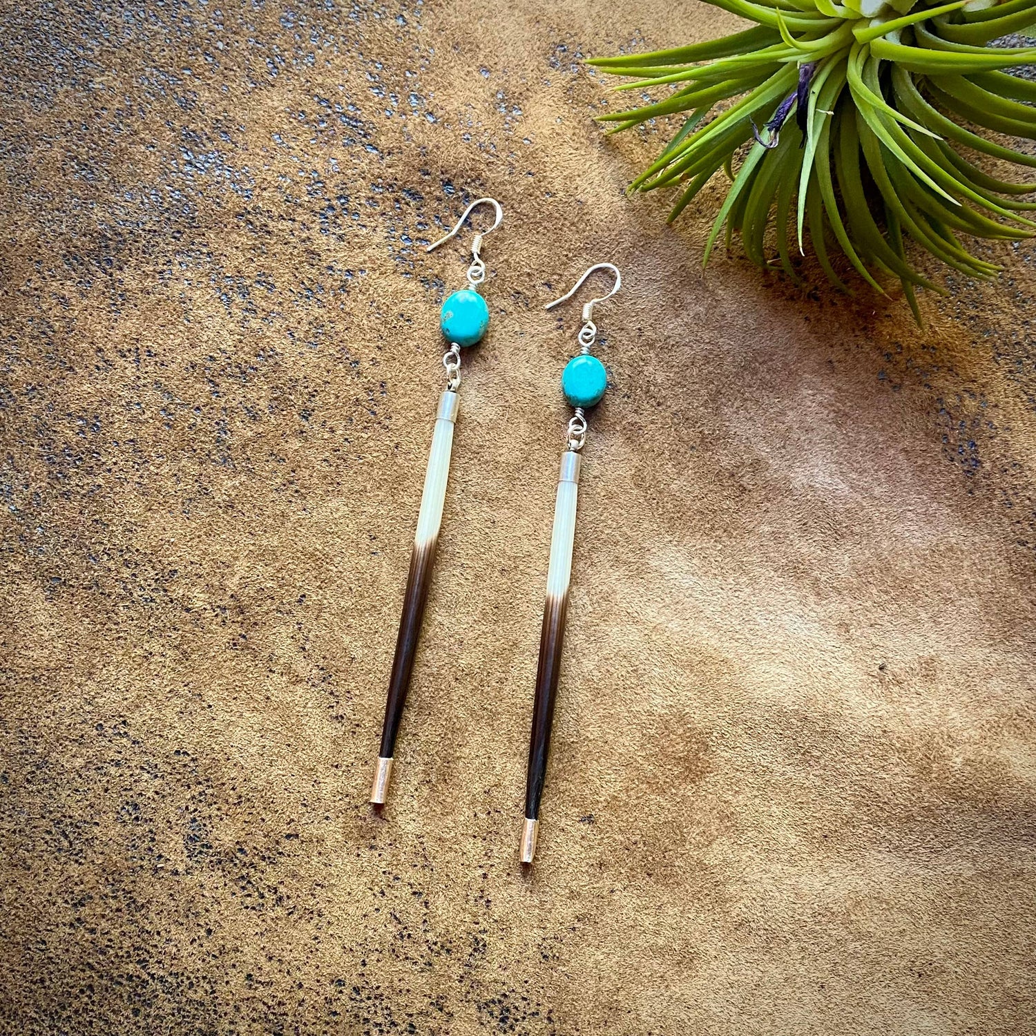 Porcupine Quill &amp; Turquoise Earrings, with Silver Earwires: Turquoise &amp; Silver