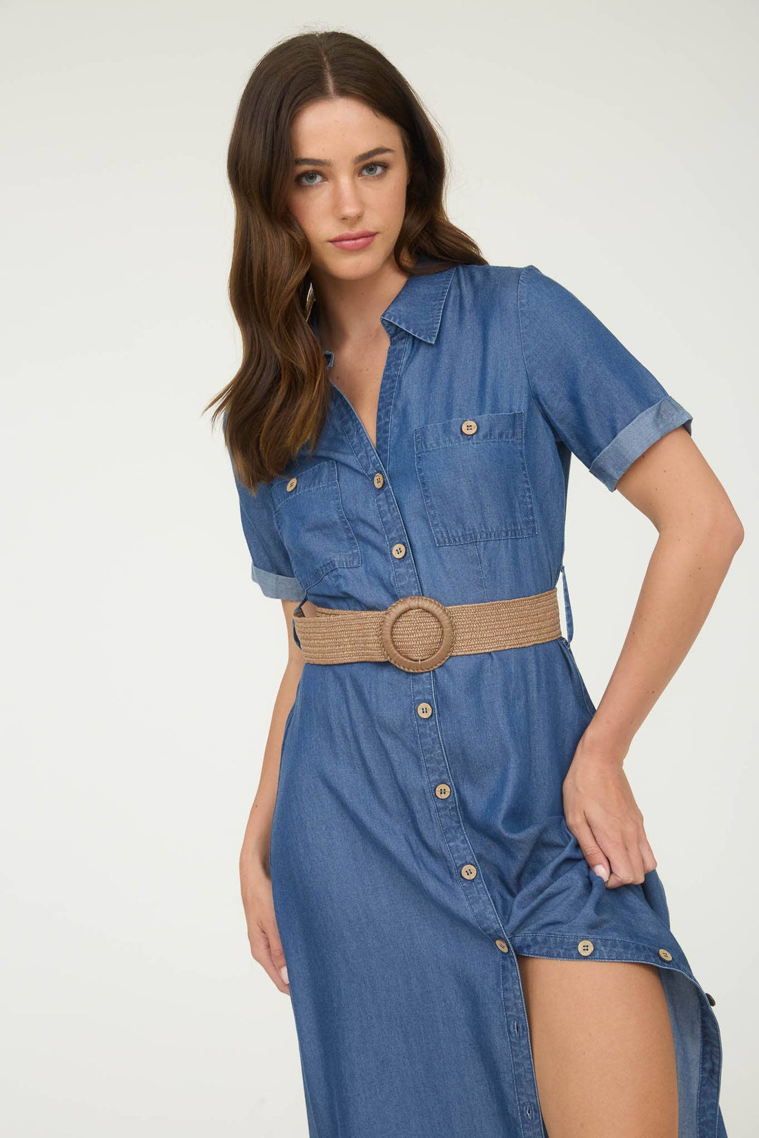 Ridgeway Denim Dress