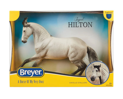 Jaguel Hilton Criollo Stallion