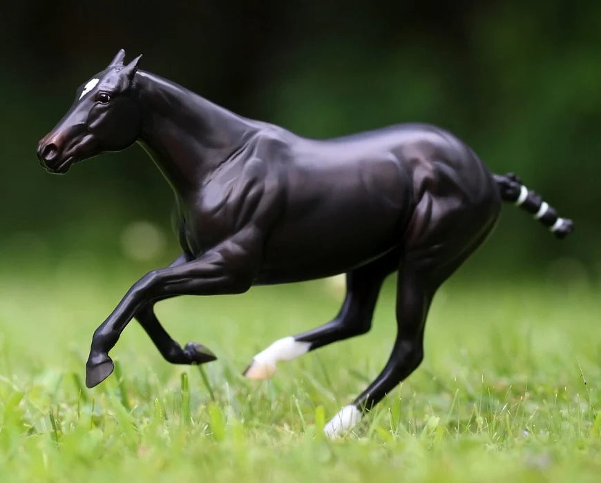 Manaos, Polo Pony