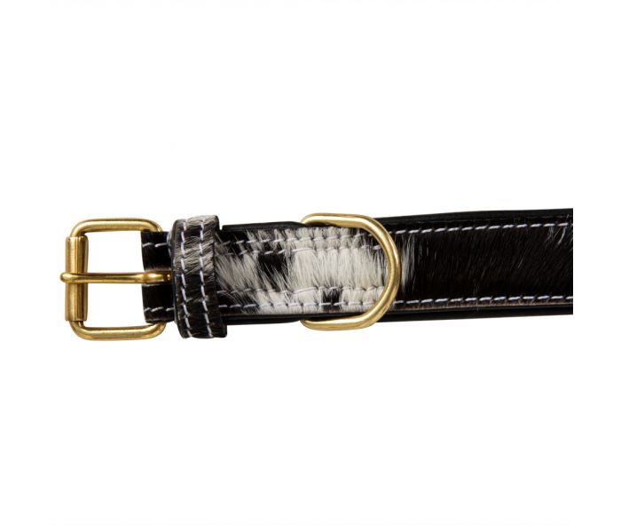 Monterey Hair-on Hide Dog Collar