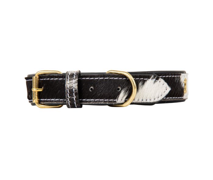 Monterey Hair-on Hide Dog Collar