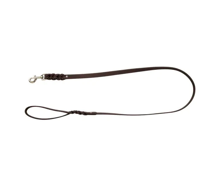 Adventurer Leather Dog Leash