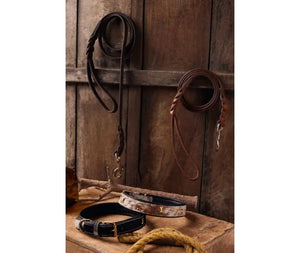 Adventurer Leather Dog Leash