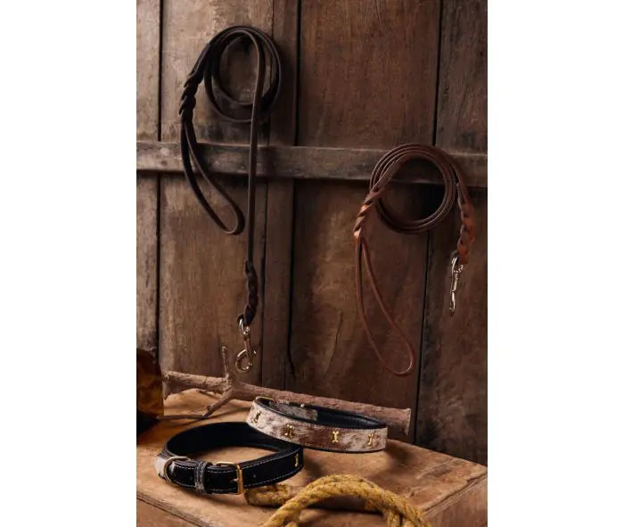 Explorer Leather Dog Leash