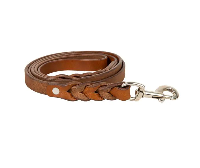 Explorer Leather Dog Leash