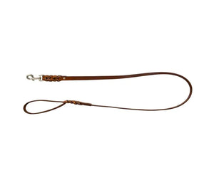 Explorer Leather Dog Leash