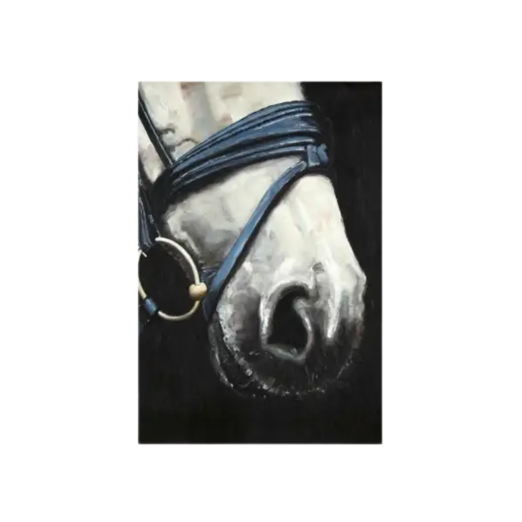 Horse With Harness | Fine art print on canvas 24" x 36"
