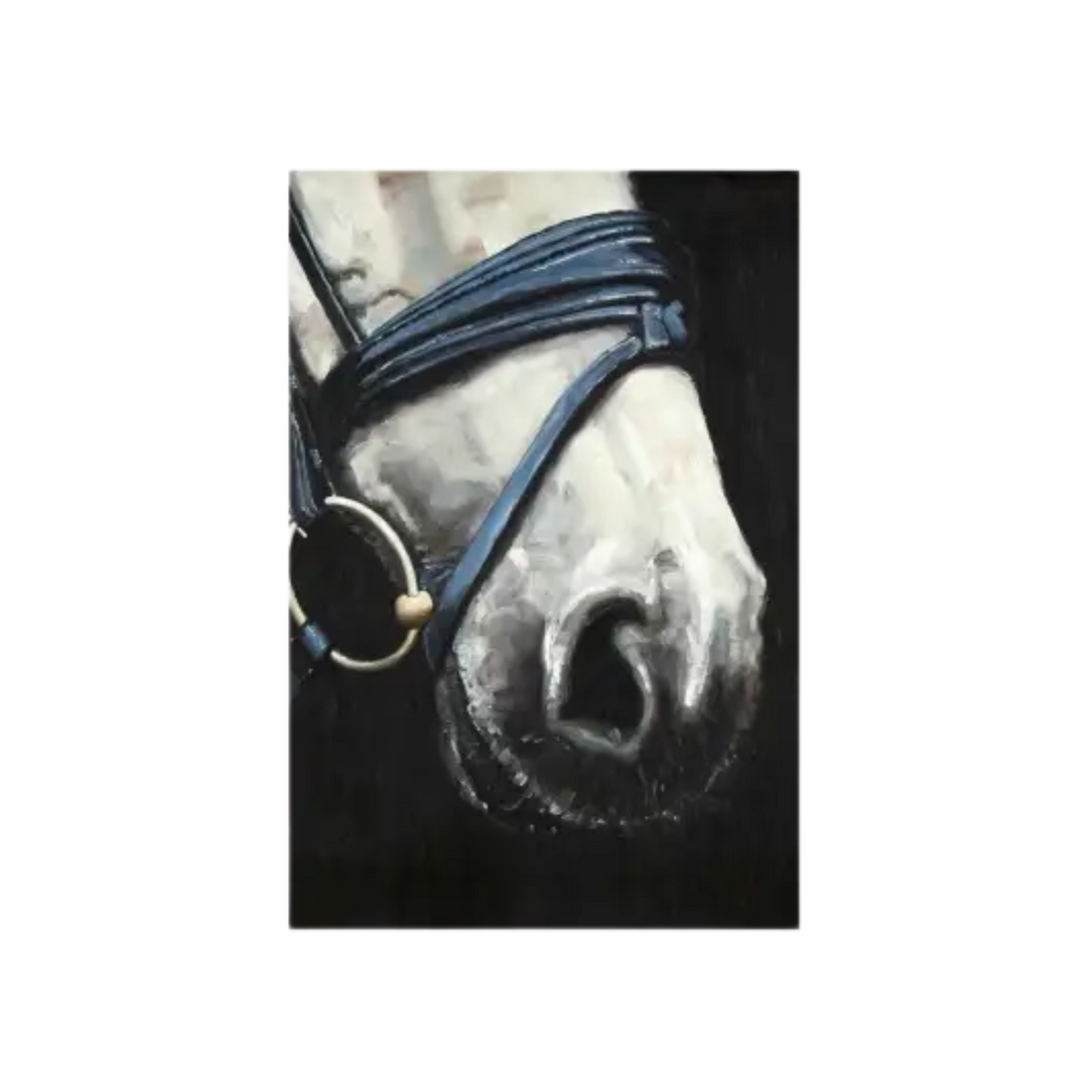 Horse With Harness | Fine art print on canvas 24&quot; x 36&quot;