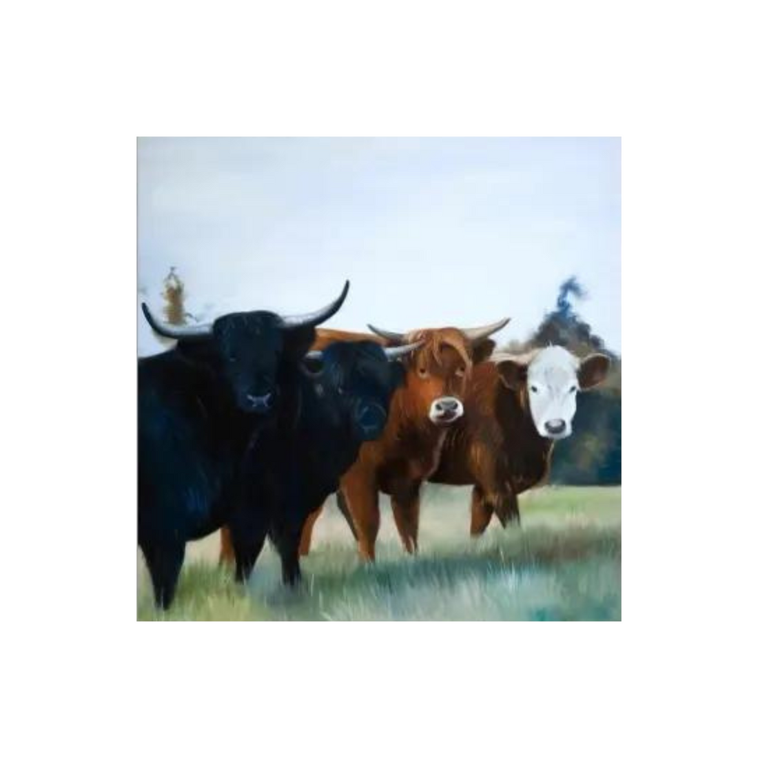 Four Highland Cows Canvas Print 36&quot; x 36&quot;