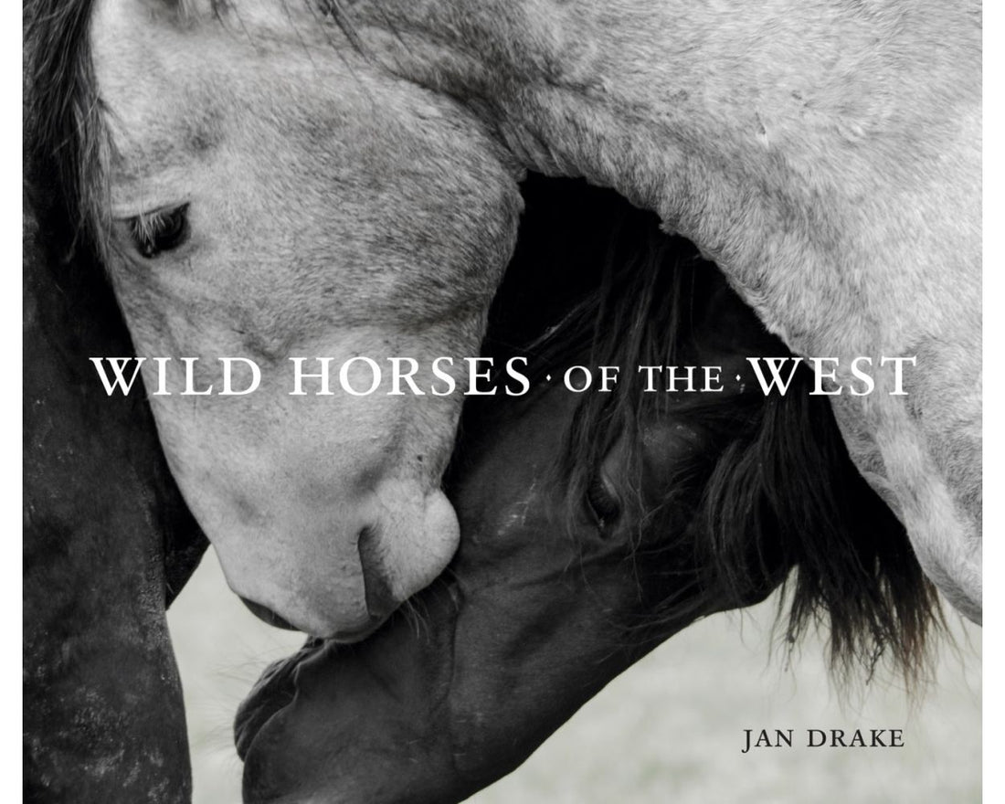 Wild Horses of the West